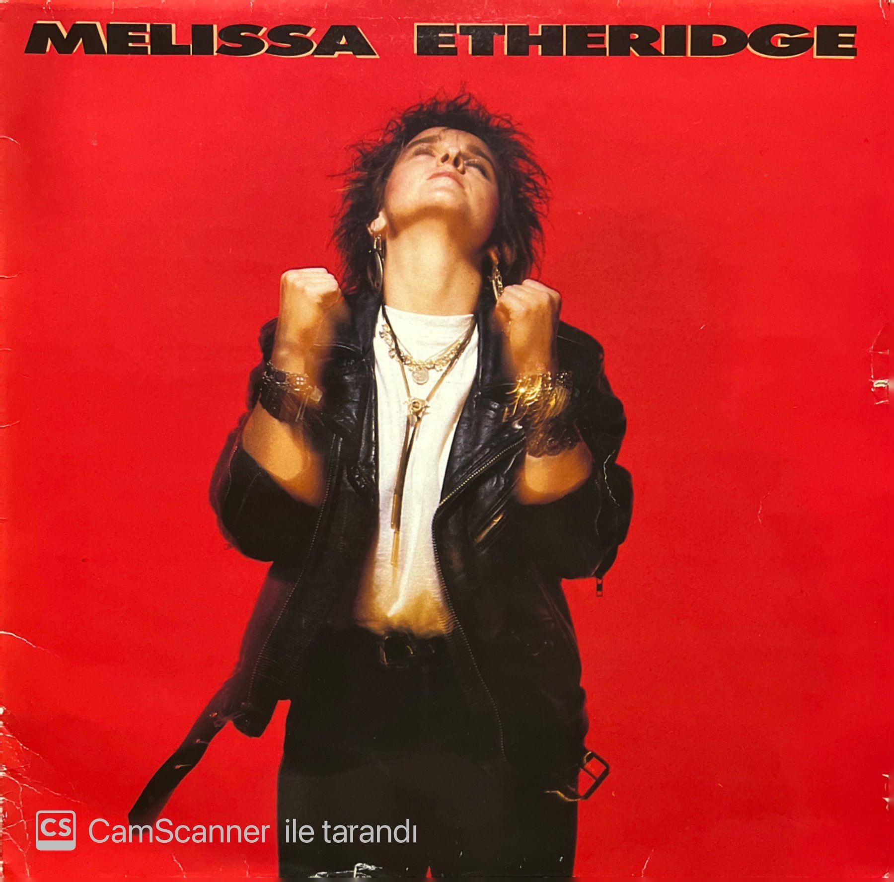 Melissa Etheridge LP Plak