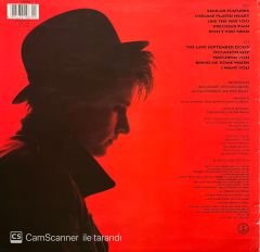Melissa Etheridge LP Plak