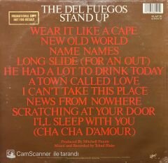 The Del Fuegos Stand Up LP Plak