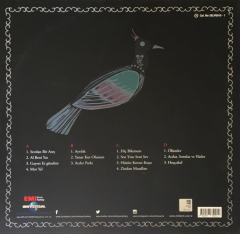 Düş Sokağı Sakinleri En Güzel Düşler Double LP Plak