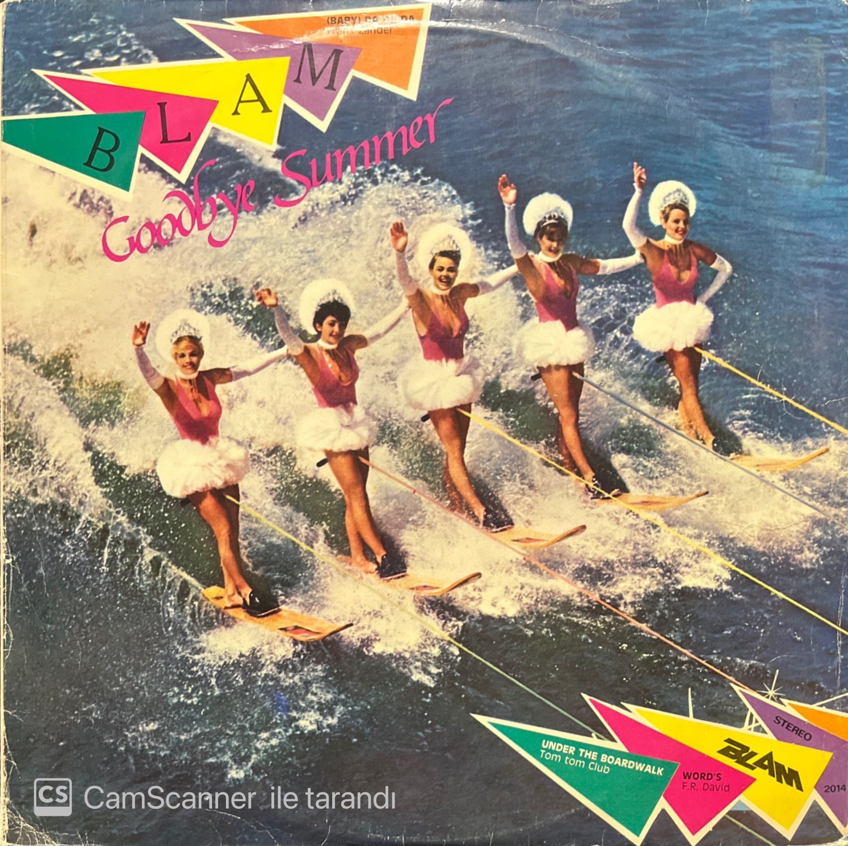 Blam Goodbye Summer LP Plak