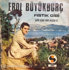 Erol Büyükburç Fıstık Gibi 45lik Plak