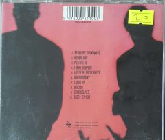 Renegade Soundwave Howyoudoin? CD