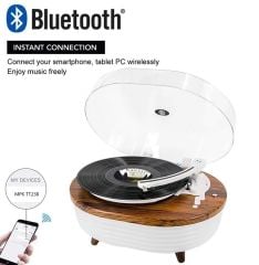 *ÜCRETSİZ KARGO Music Public Kingdom Tt238 Bluetooth Özellikli Led Aydınlatmalı Gövdeli Pikap