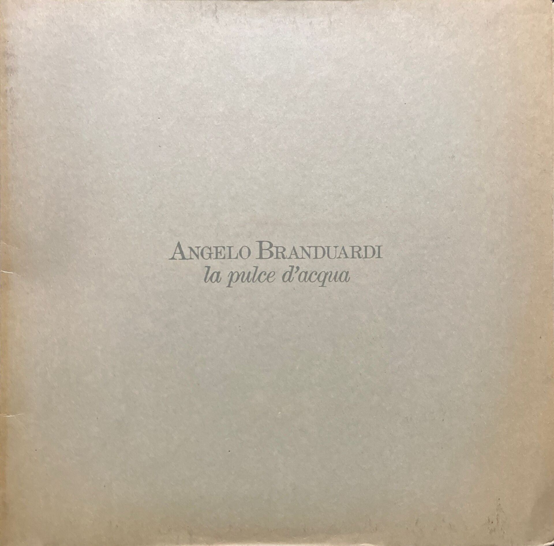 Angelo Branduardi La Pulce D'acqua Lp Plak