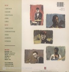 Simply Red Picture Book LP Plak