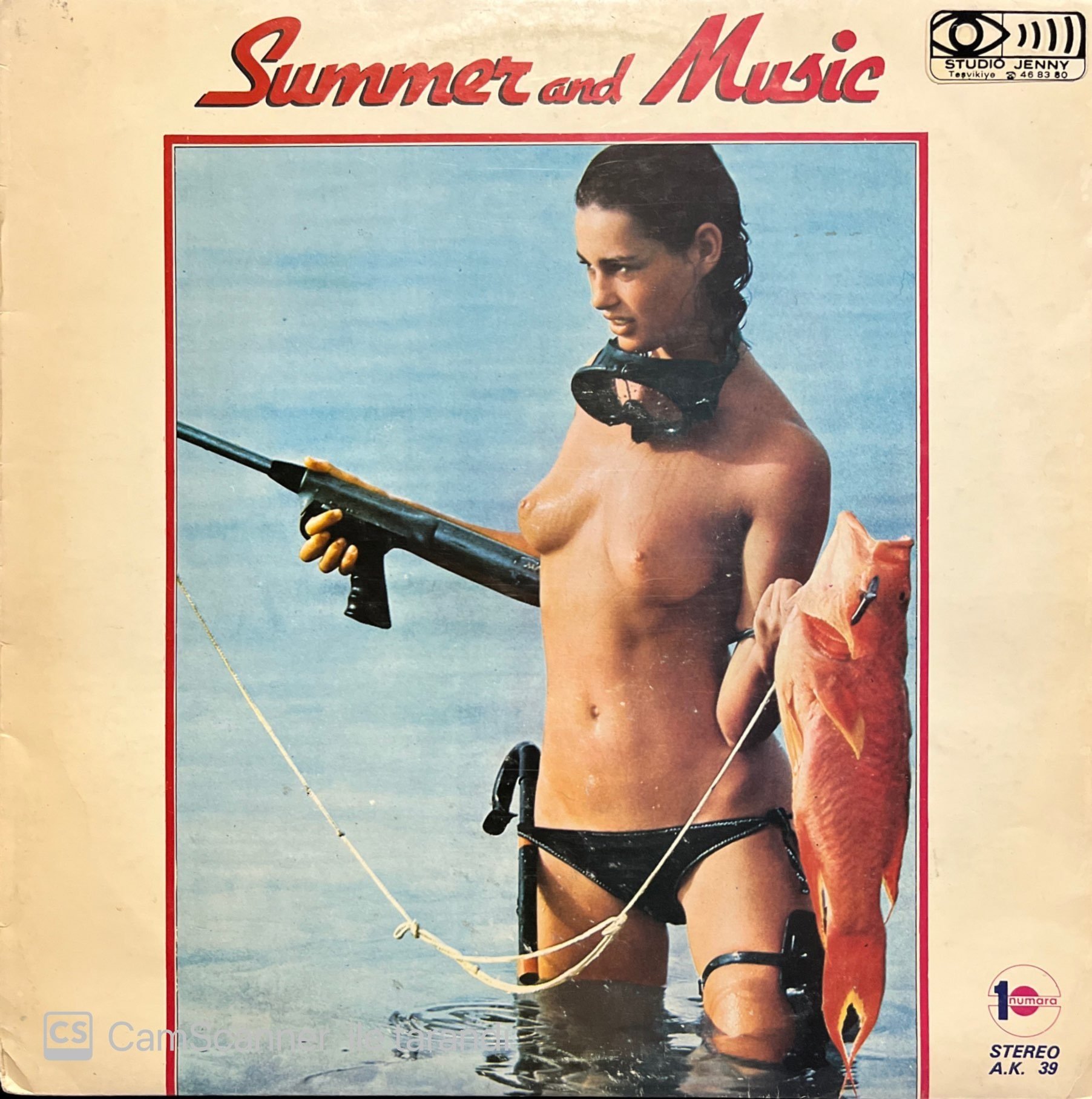 Summer And Music LP Plak