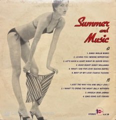 Summer And Music LP Plak