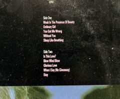 Alison Moyet Raindancing LP Plak