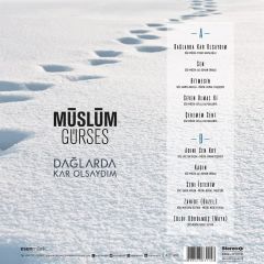 Müslüm Gürses Dağlarda Kar Olsaydım LP