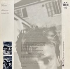 Sting The Dream Of The Blue Turtles LP Plak