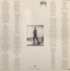 Sting The Soul Cages LP Plak