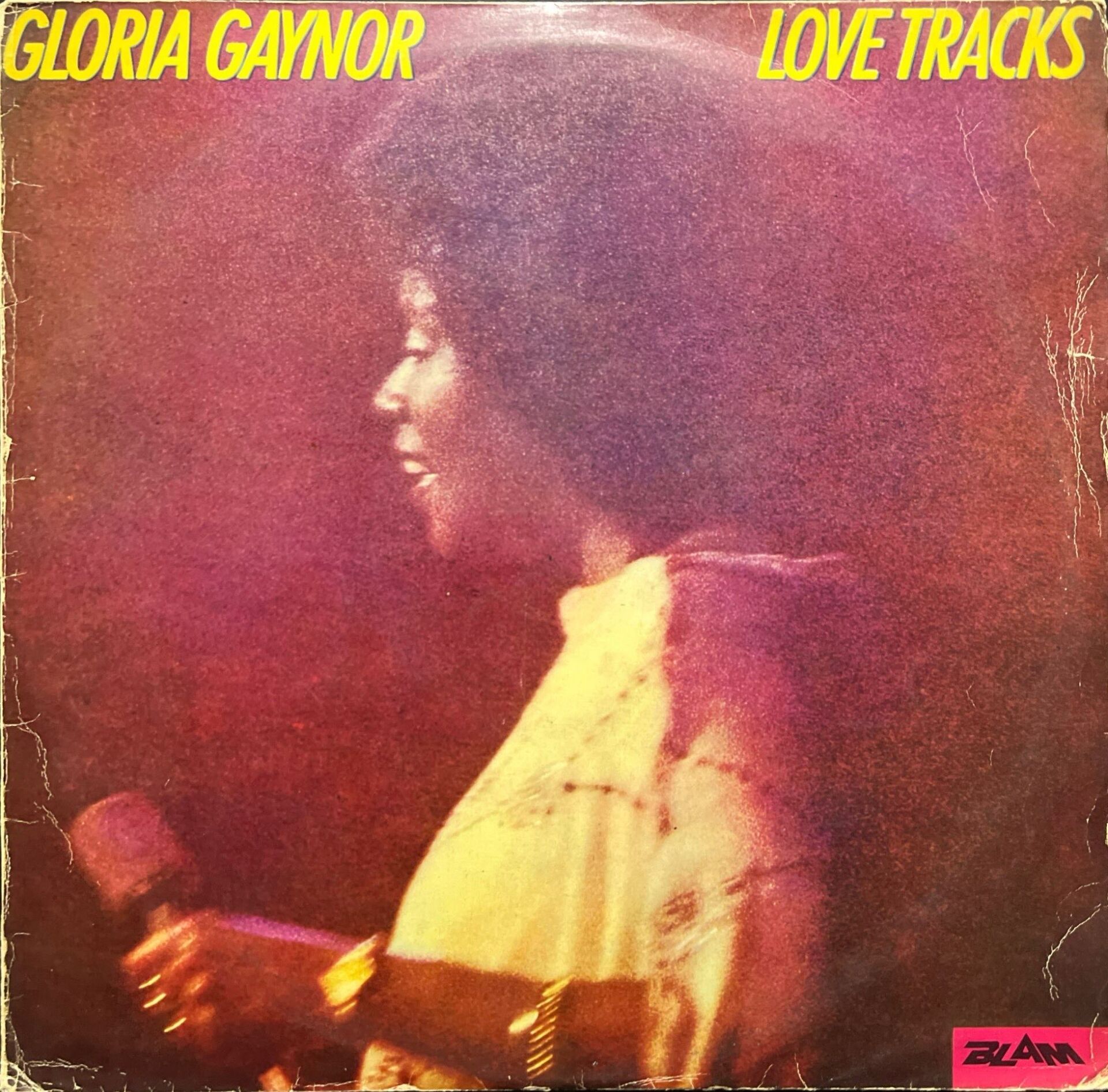 Gloria Gaynor Love Tracks LP Plak