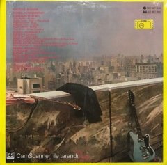 Autoamerican Blondie LP Plak