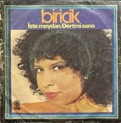 Biricik İşte Meydan 45lik Plak