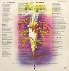 Bob Marley The Wailers Kaya LP Plak