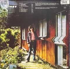 Al Stewart Time Passages LP Plak