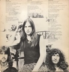 Pretty Things Freeway Madness LP Plak