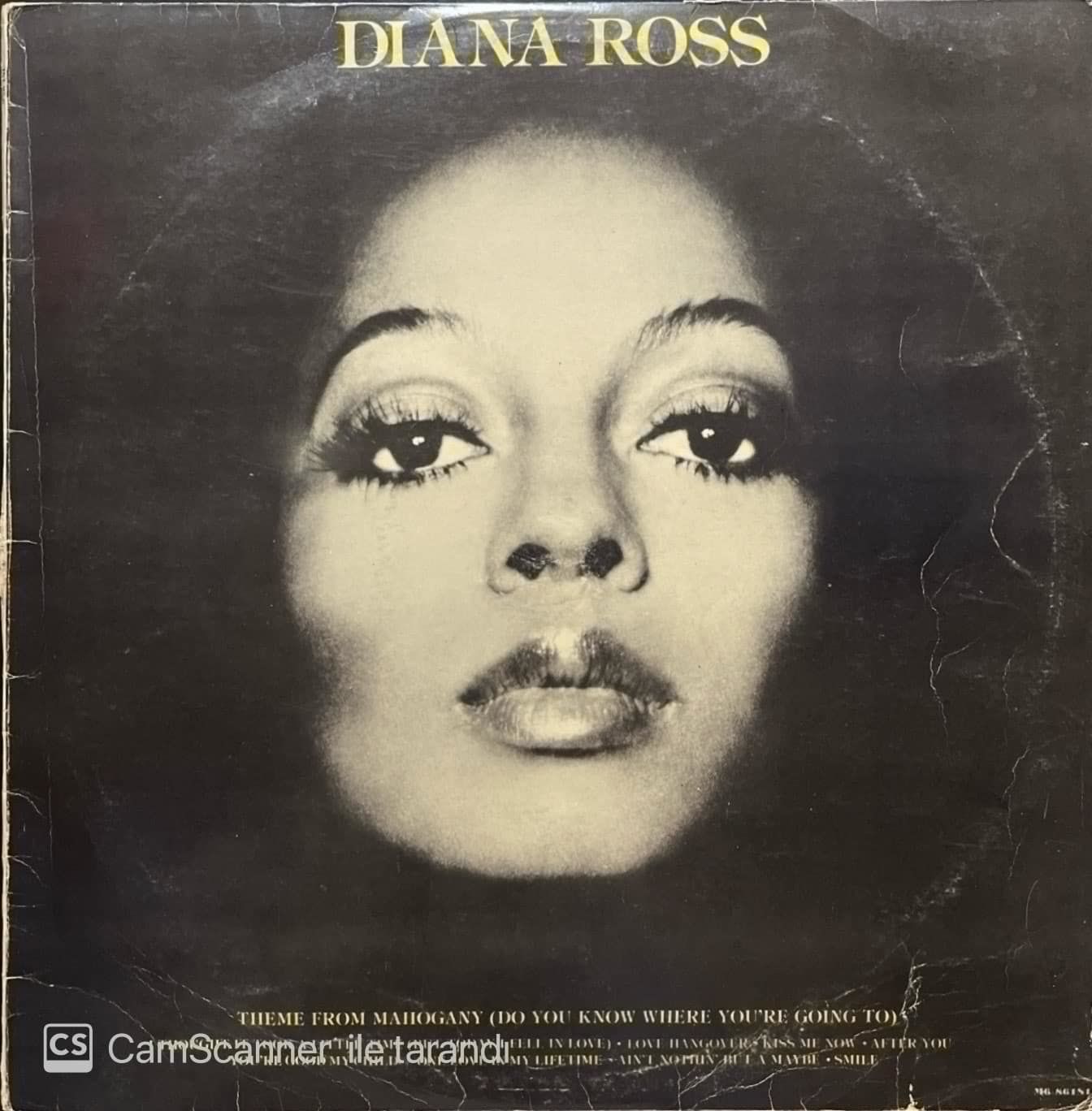 Diana Ross Theme From Mahogany LP Plak