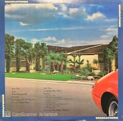 Carpenters Now & Than Quadraphonic LP Plak