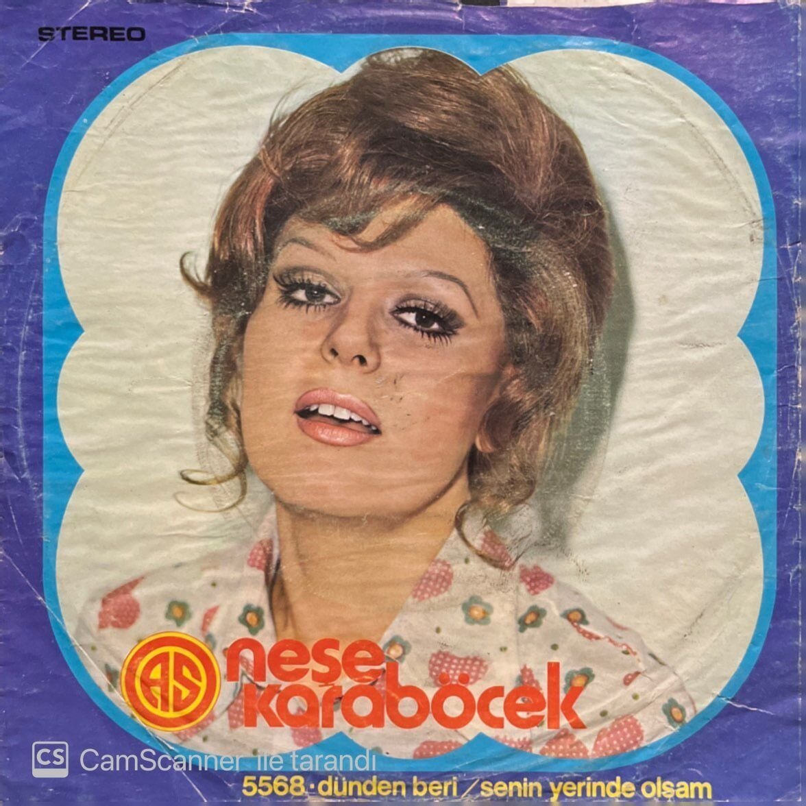 Neşe Karaböcek Dünden Beri 45lik Plak