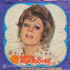 Neşe Karaböcek Dünden Beri 45lik Plak