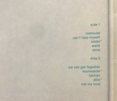 Icehouse LP Plak