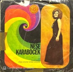 Neşe Karaböcek Koca Dünya 45lik Plak