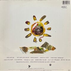 Eric Clapton Behind The Sun LP Plak