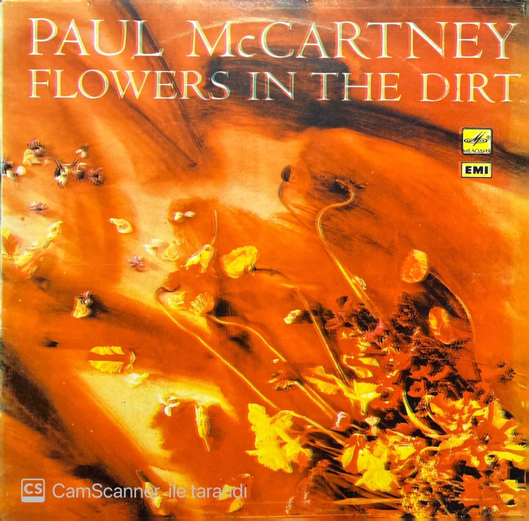 Paul McCartney Flowers In The Dırt LP Plak