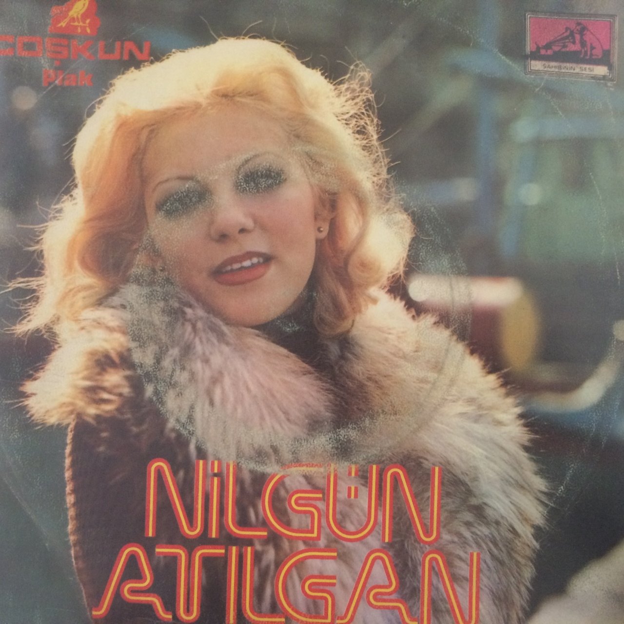 Nilgün Atılgan Sor Ne O 45lik Plak