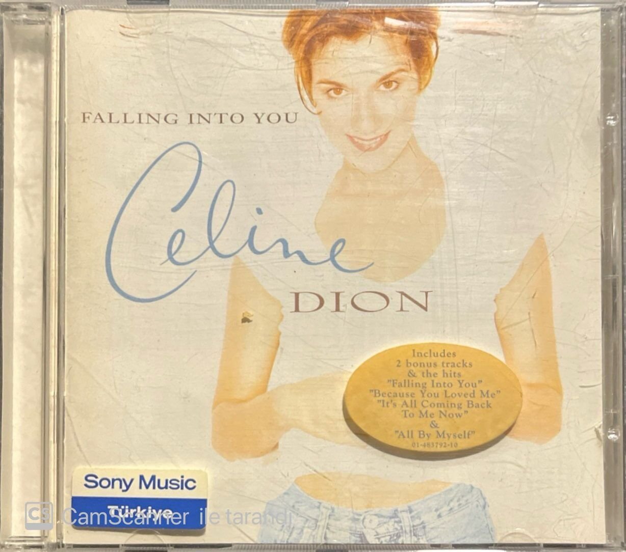 Celine Dion Falling Into You CD