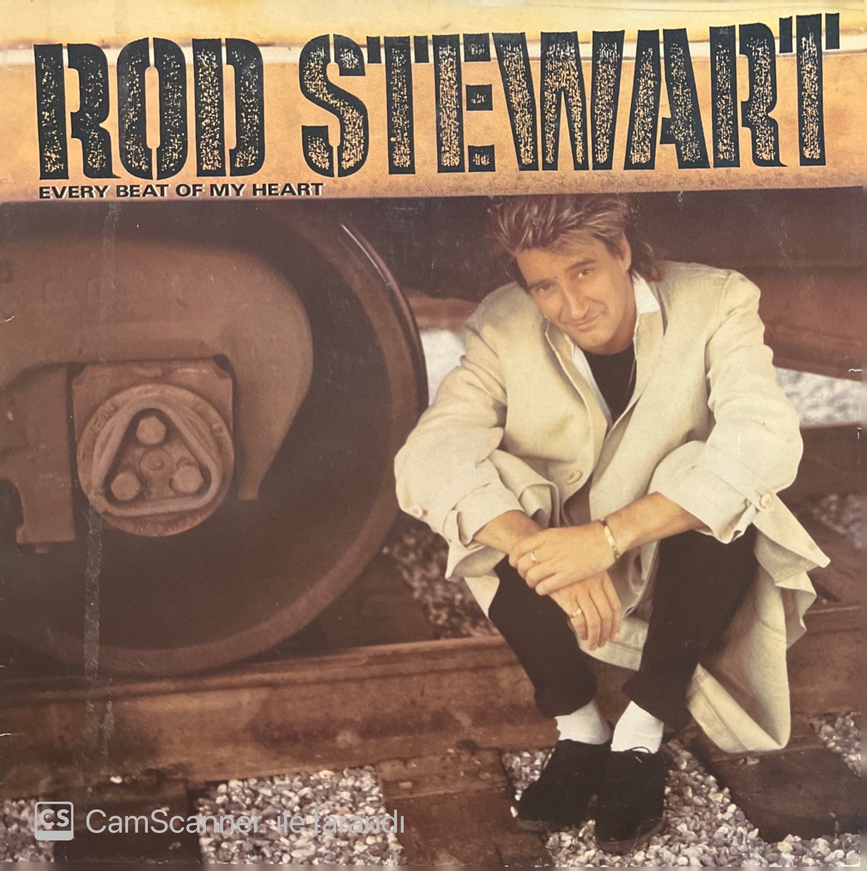 Rod Stewart Every Beat Of My Heart LP Plak
