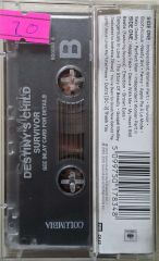 Destiny's Child Survivor  Kaset