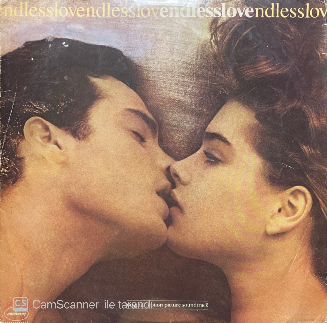 Endless Love Soundtrack LP Plak