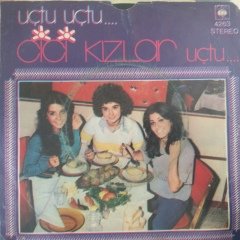 Cici Kızlar Uçtu Uçtu 45lik Plak