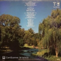 Ray Charles Do I Ever Cross Your Mind LP Plak