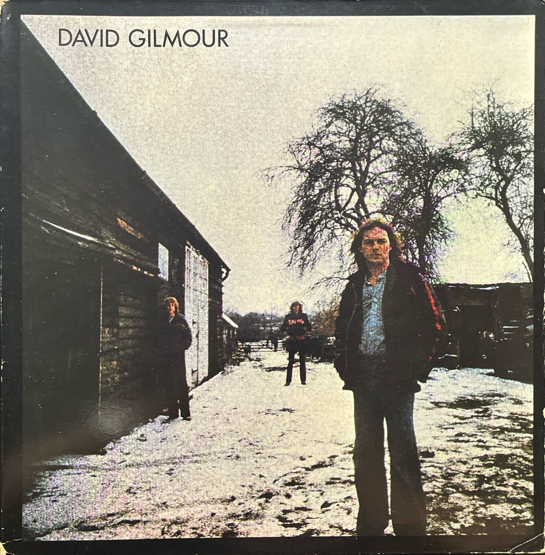 David Gilmour David Gilmour LP Plak