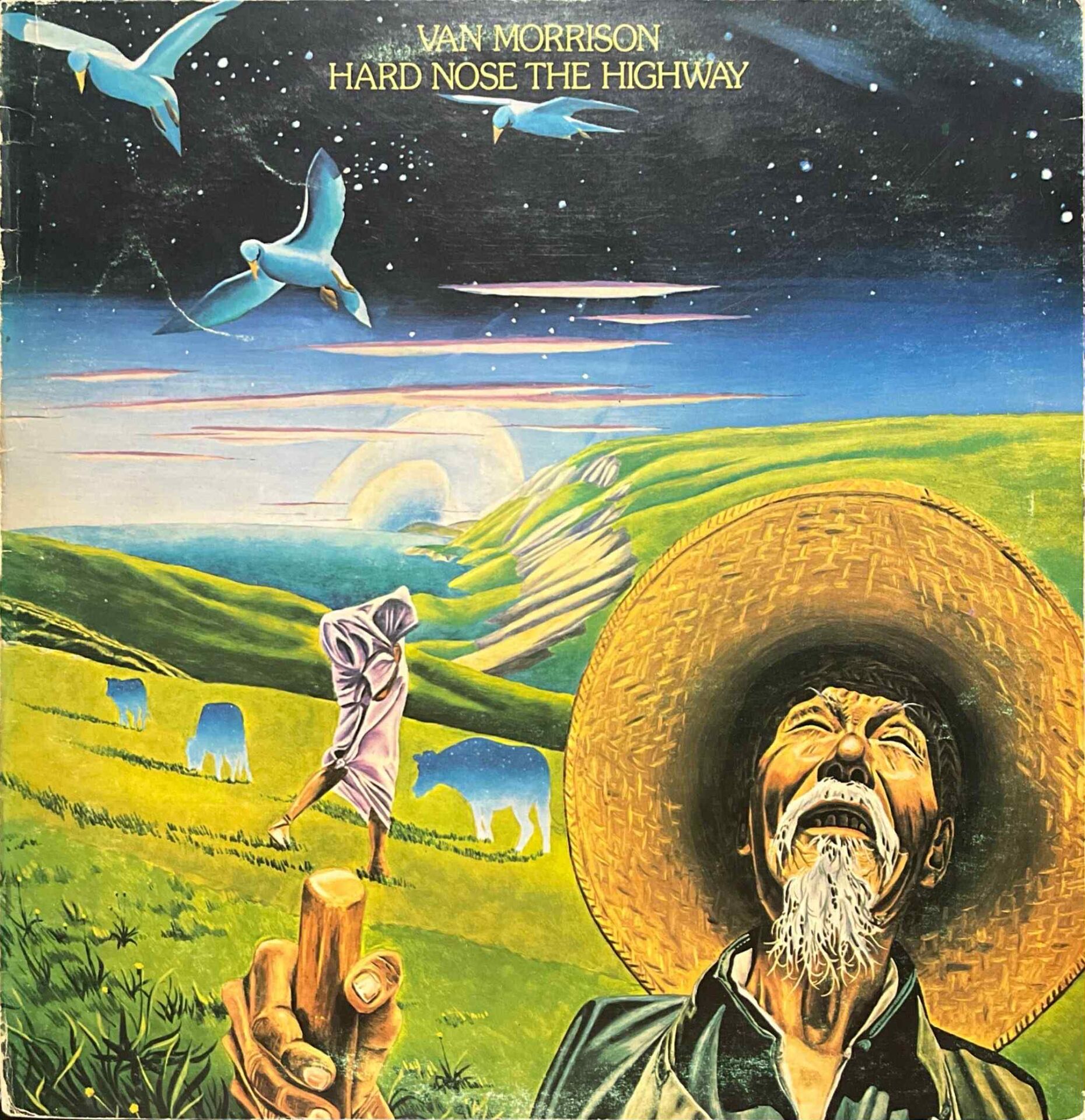 Van Morrison Hard Nose The Highway LP Plak