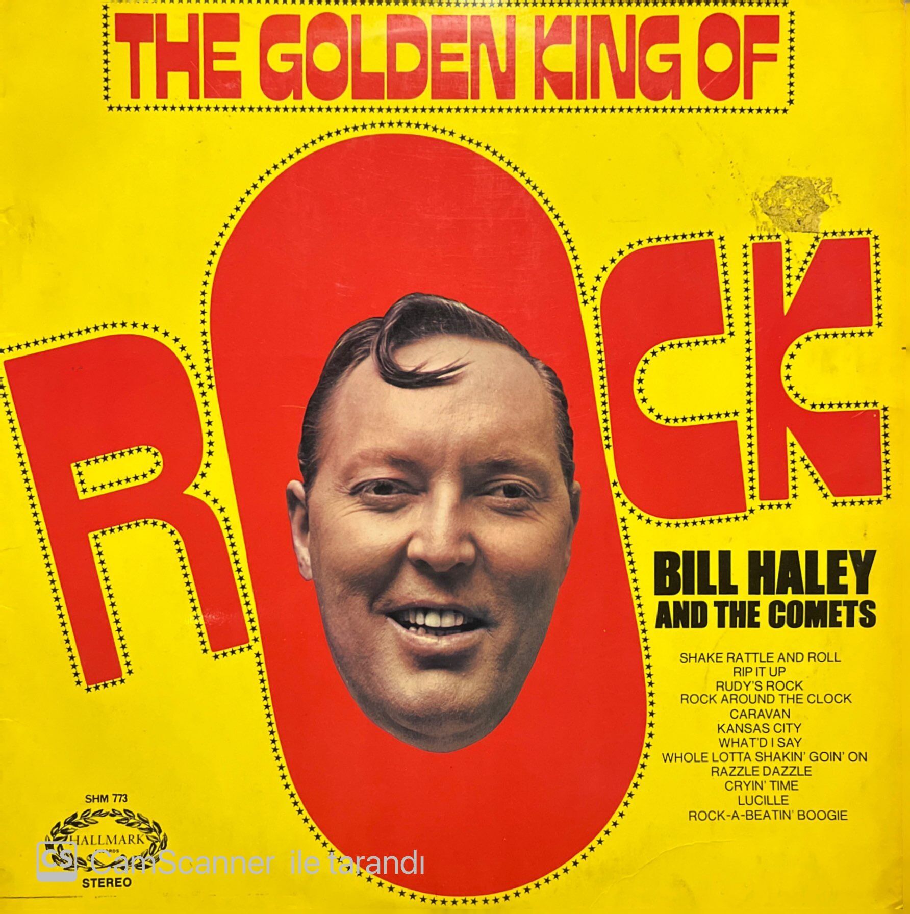 The Golden King Of Rock Bill Halley LP Plak