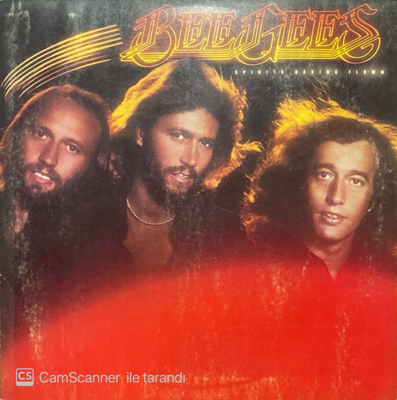 Bee Gees Spirits Having Flown LP Plak