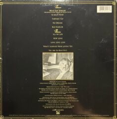 Kenny Rogers We've Got Tonight LP Plak
