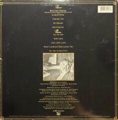 Kenny Rogers We've Got Tonight LP Plak
