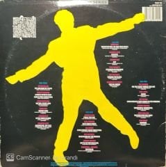 Hits Of The Fifties Double LP Plak