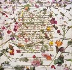 Prince And The Revolution Purple Rain LP Plak