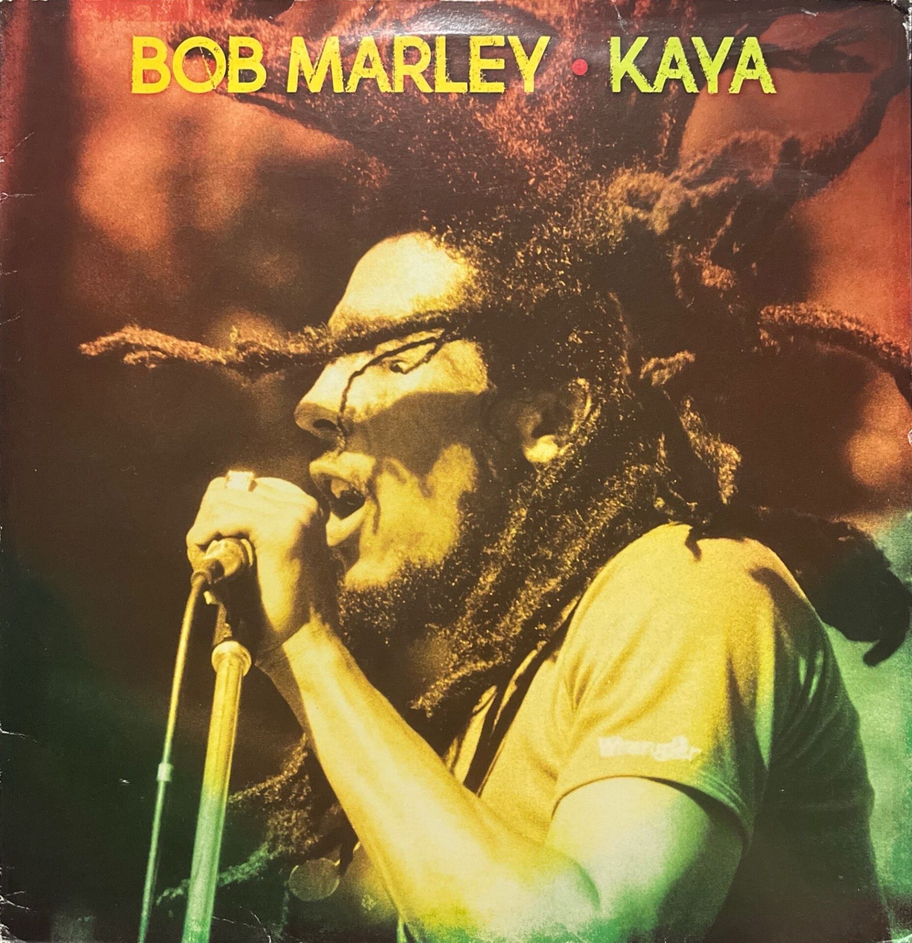 Bob Marley Kaya LP Plak