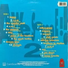 20 Devastatin' Hits Awesome LP Plak