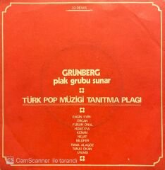 Grünberg Türk Pop Müziği Tanıtma Plağı 45lik plak