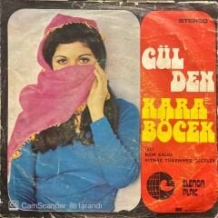 Gülden Karaböcek Nem Kaldı 45lik Plak