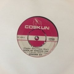 Şükran Ay Benim Ne Günahım Var 45lik Plak